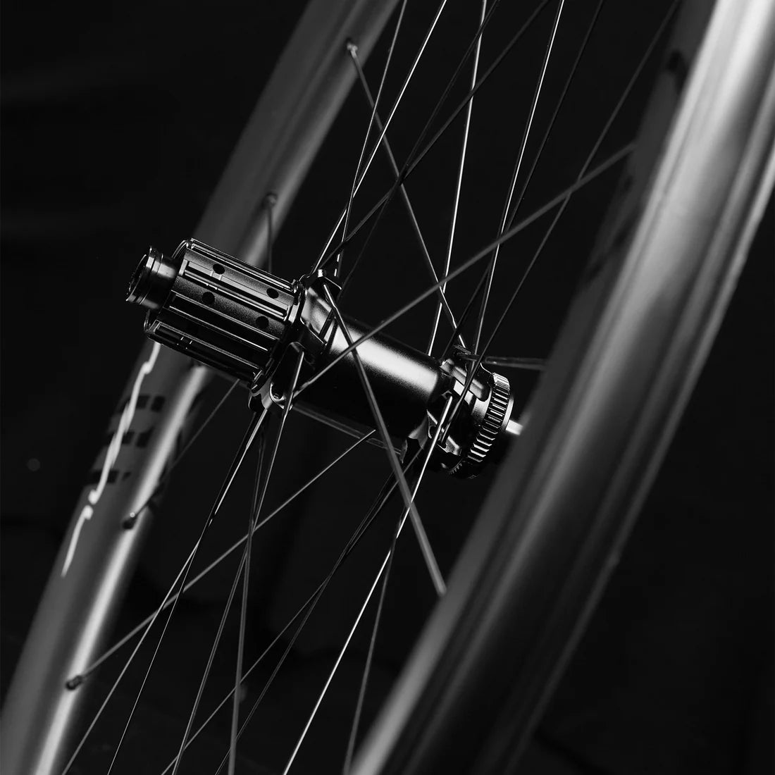 Avian CR2 DB R310