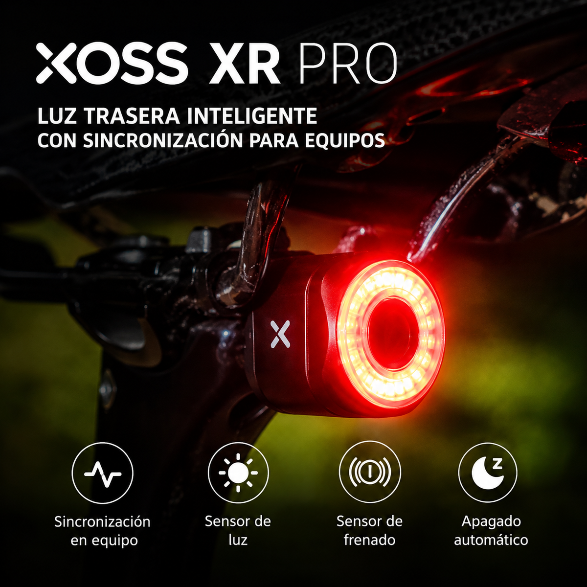 Luz trasera XR PRO