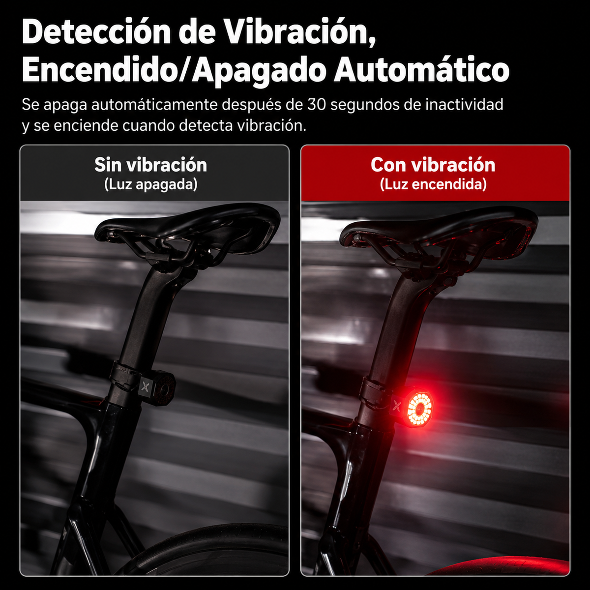 Luz trasera XR PRO