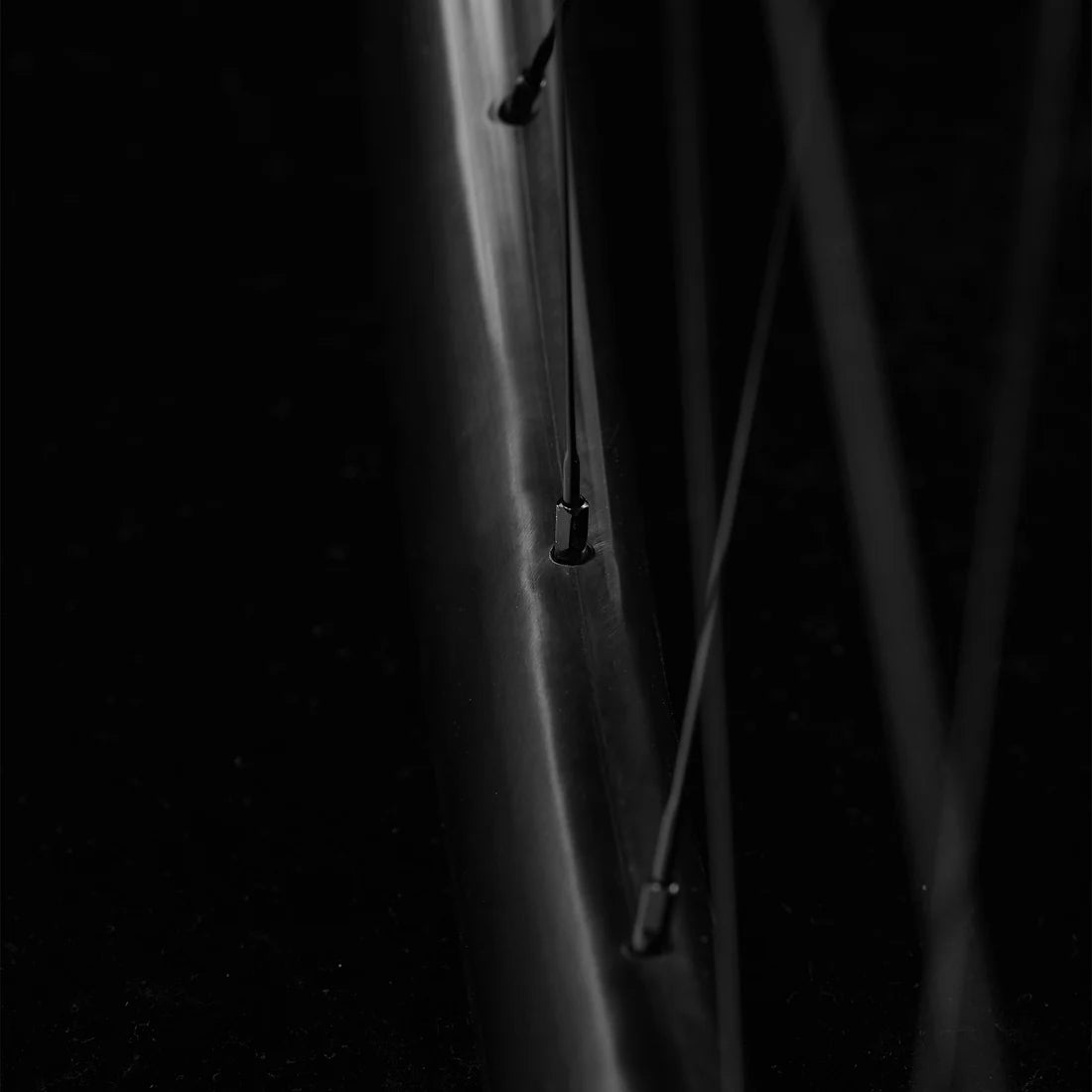 Avian CR4 DB